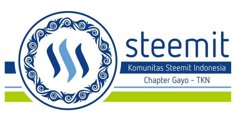 logo Steemit Gayo -TKN 2.jpeg