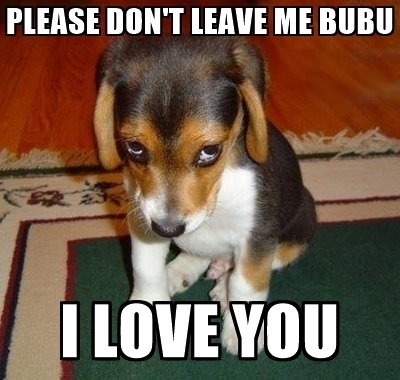 please-dont-leave-me-bubu-i-love-you.jpg