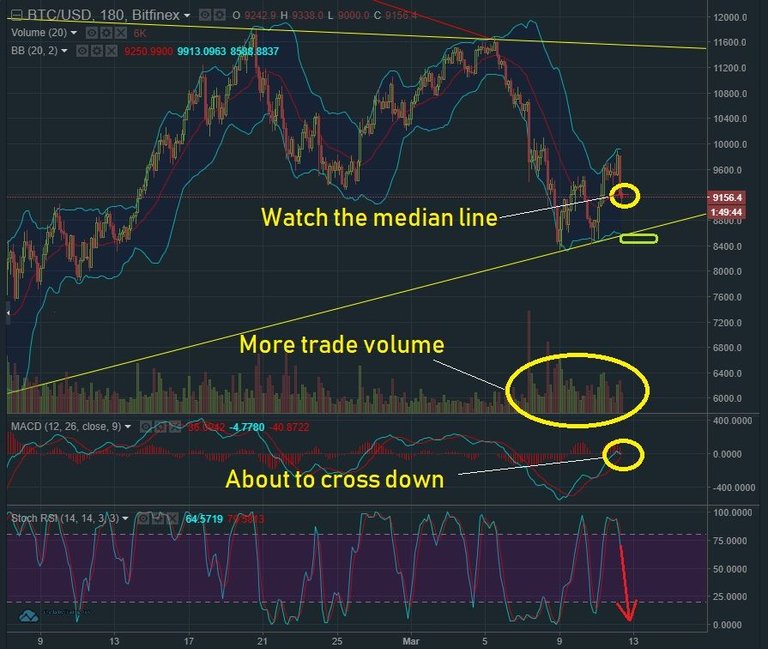 March 12 BTC T&A.jpg