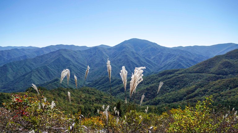 서북능선011.jpg