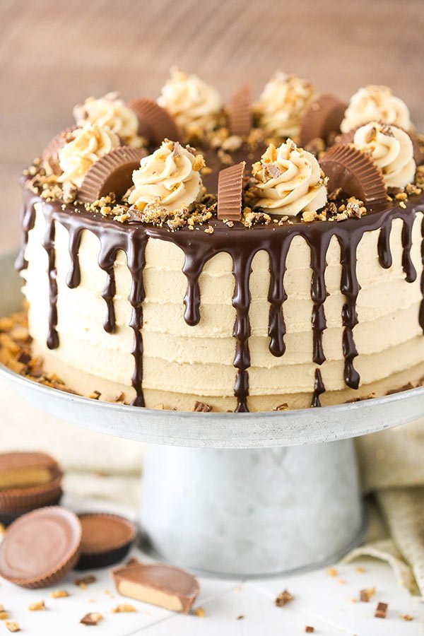 Peanut-Butter-Chocolate-Cake3.jpg