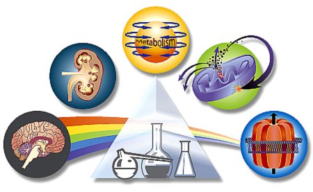 Pharmacologyprism.jpg