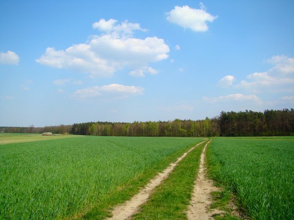 stock_277__countryside_road_by_alzirrswanheartstock.jpg