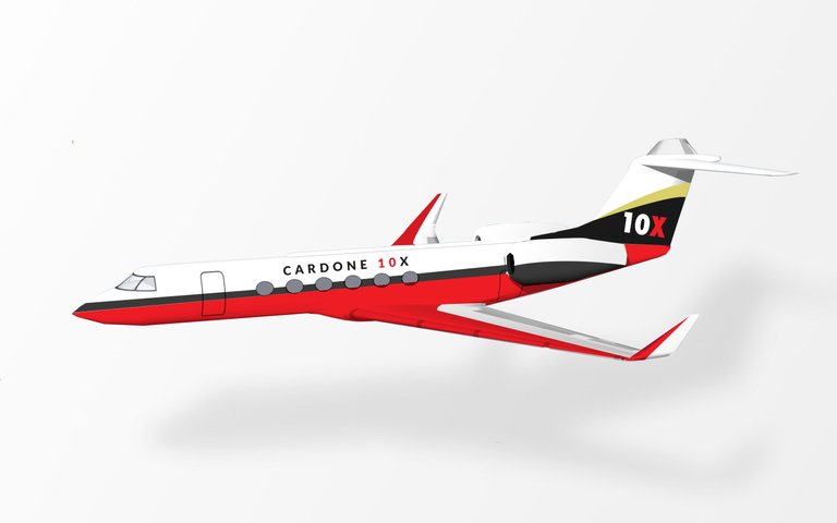 Cardone's plane.jpg