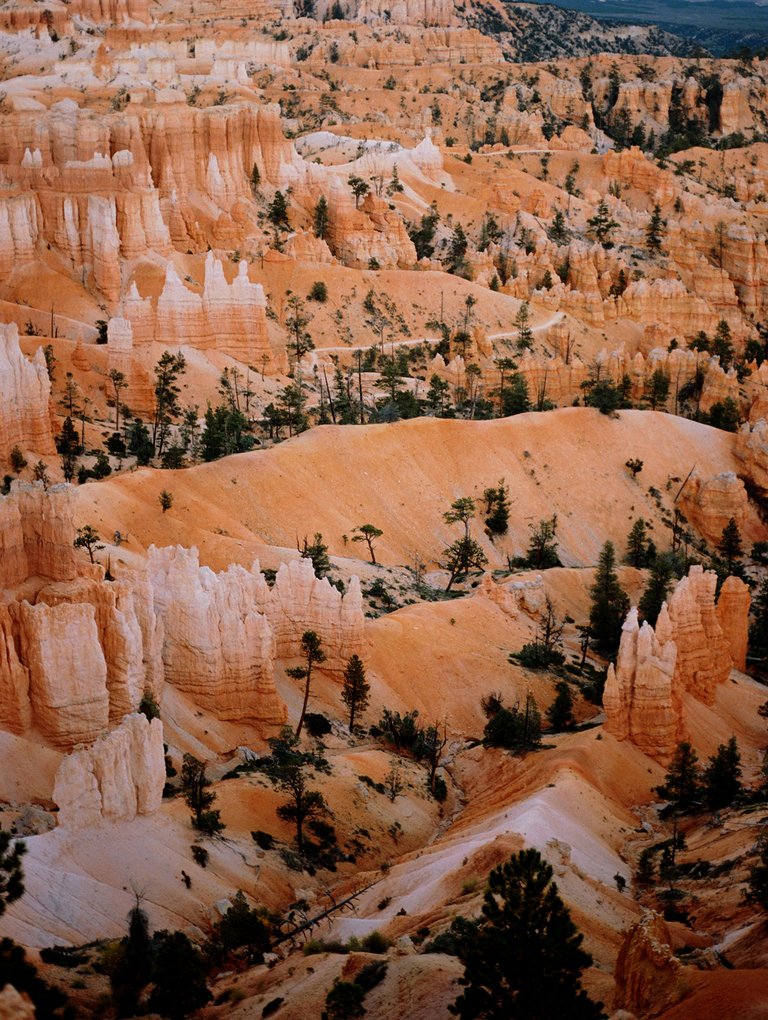 bryce-canyon-1.jpg