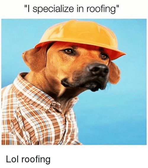 i-specialize-in-roofing-lol-roofing-21685349.png