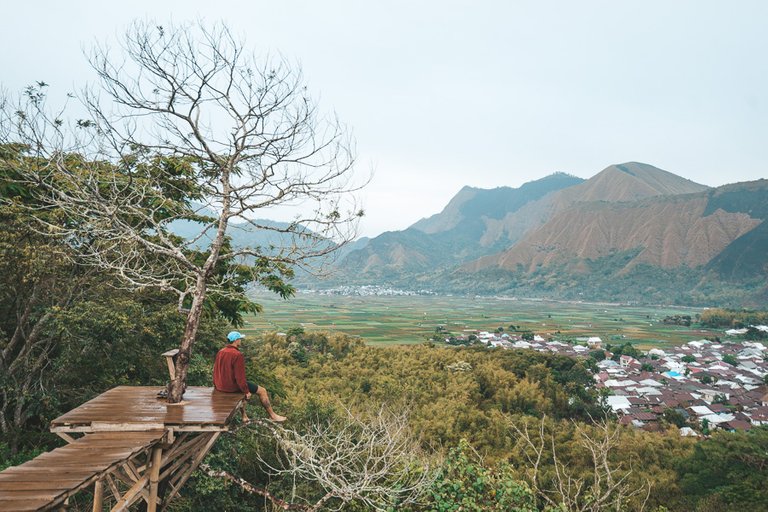 bukit-selong-lombok-rice-field-09793.jpg