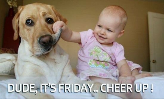 dude-its-friday-cheer-up.jpg