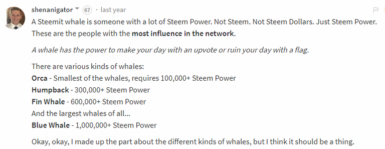 whale.png