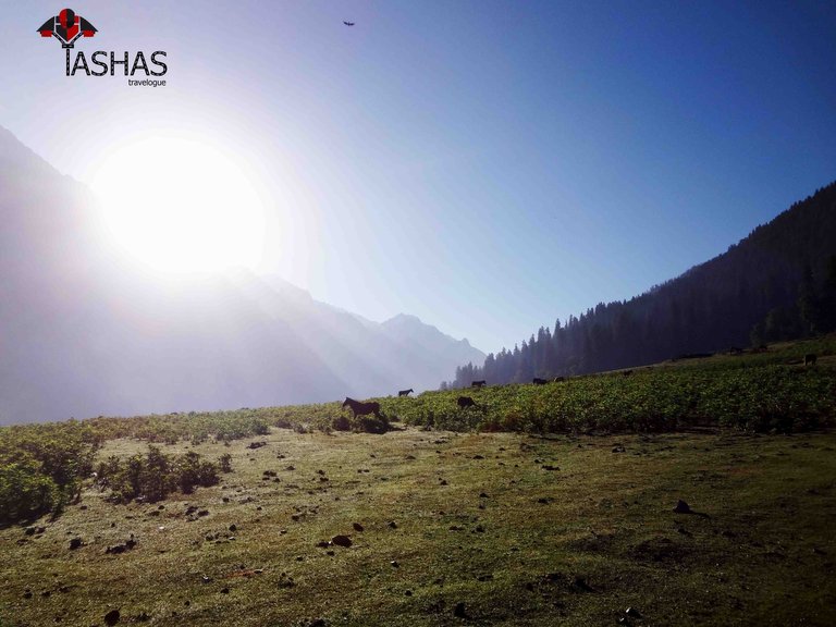 Sonmarg Morning View2.jpg