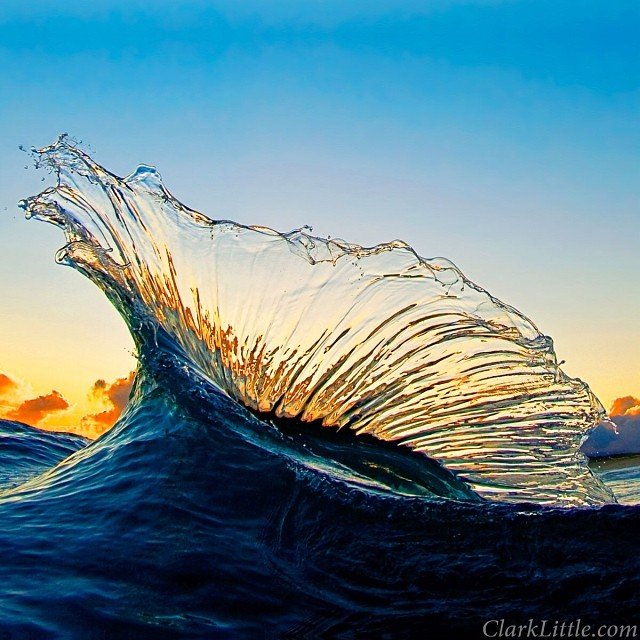 a Marlin shaped Wave by ClarkLittle .jpg