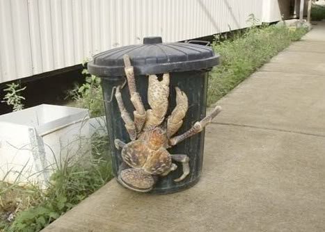 The Giant Coconut Crab 2.jpg