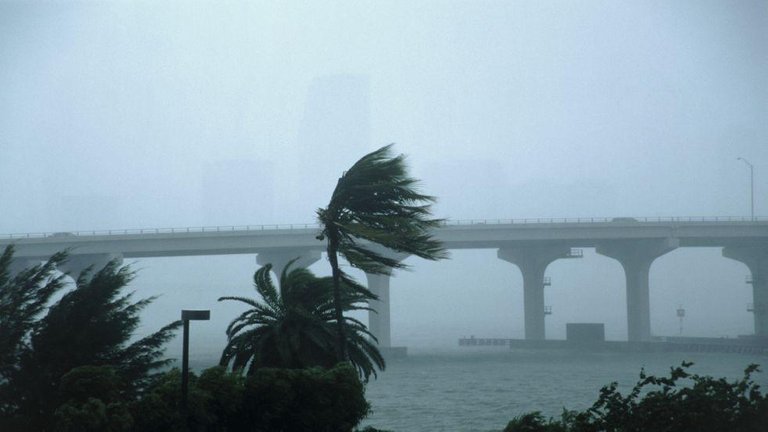 hurricane-formation_980x551.jpg