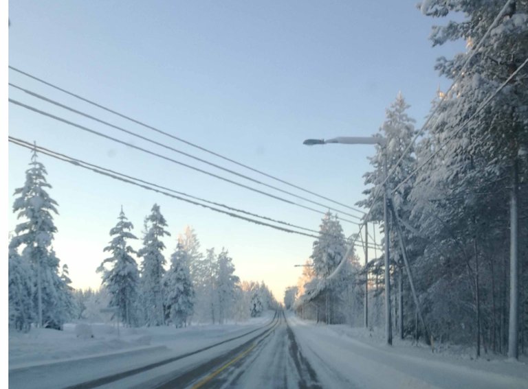 Beautiful Winter Trees Photos- Landscape Photography in Steemit Blog