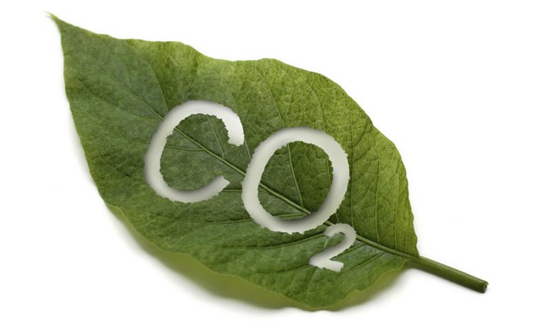 CO2.jpg