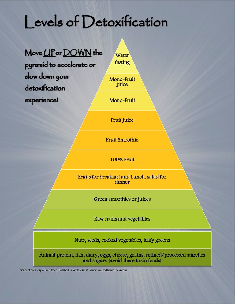 Levels of Detoxification.jpg