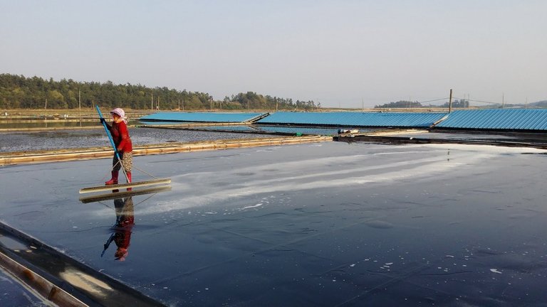 Jeungdo-Salt-Farm-tourders-1024x576.jpg