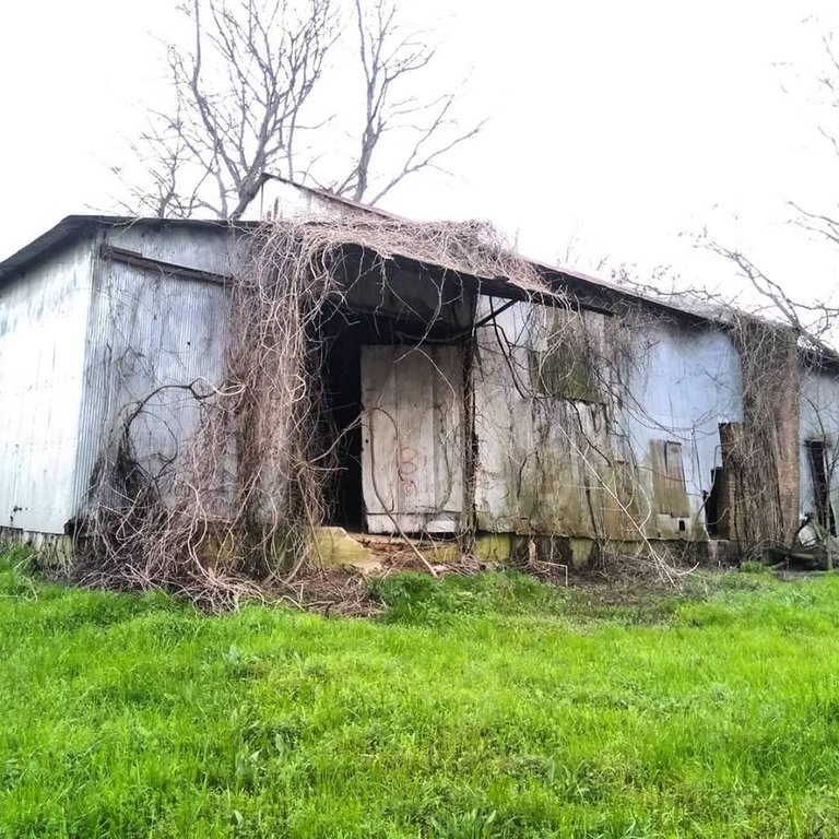 Curtis Gin Barn 01.jpg