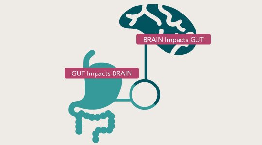 Micronutrients-Gut-Second-Brain-540x300.jpg