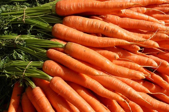 carrots.jpg