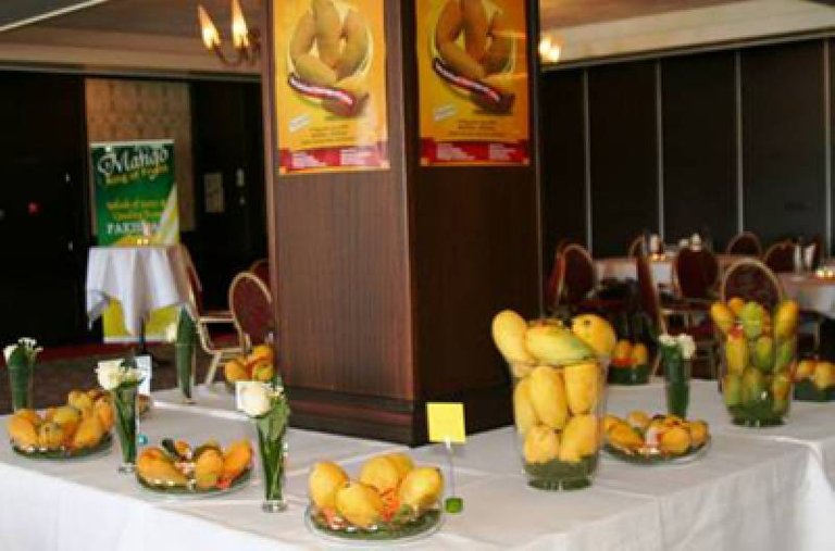 pakistan-embassy-organises-pak-mango-exhibition-in-turkey-1453754280-5933.jpg