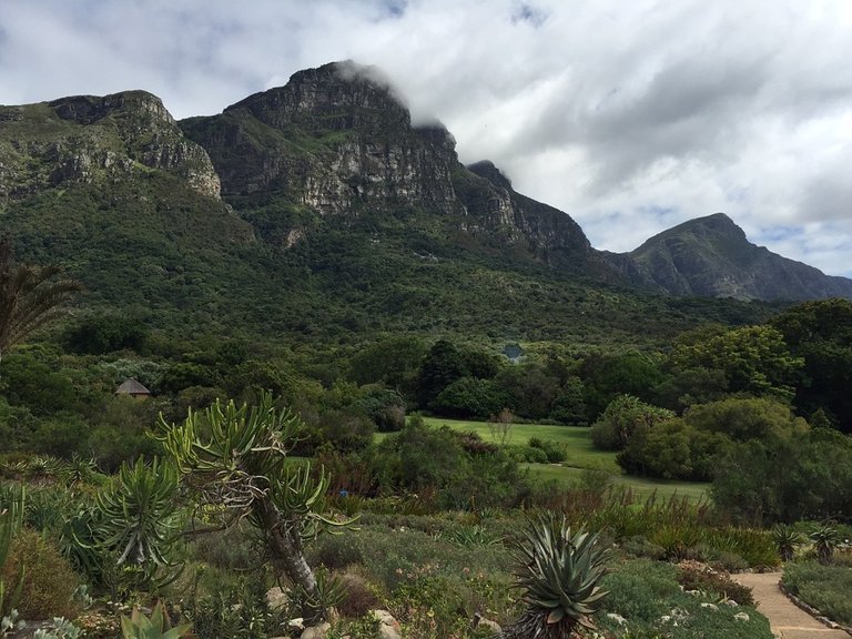 1 Table Mountain National Park.jpg