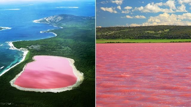 Lake Hillier - Australia.jpg