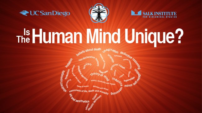 Unique Human Mind.jpg