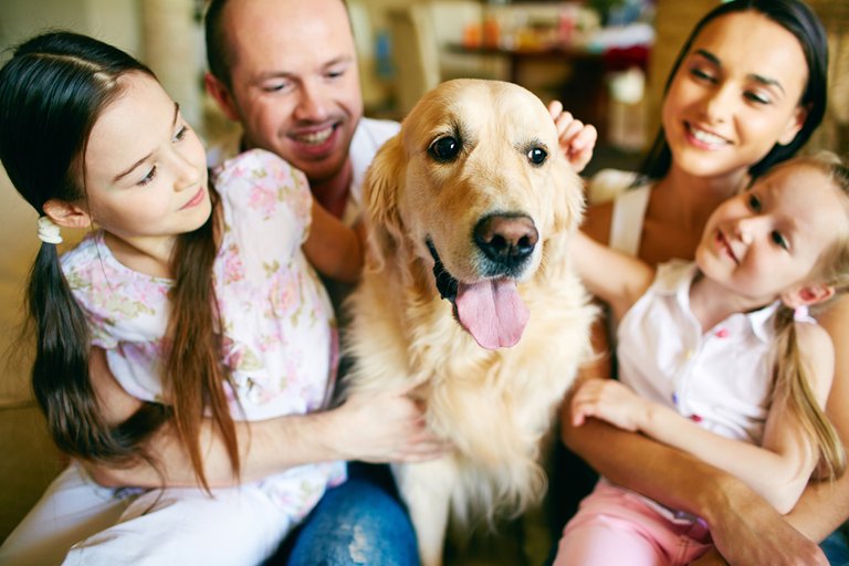 dog-with-owners-family.jpg