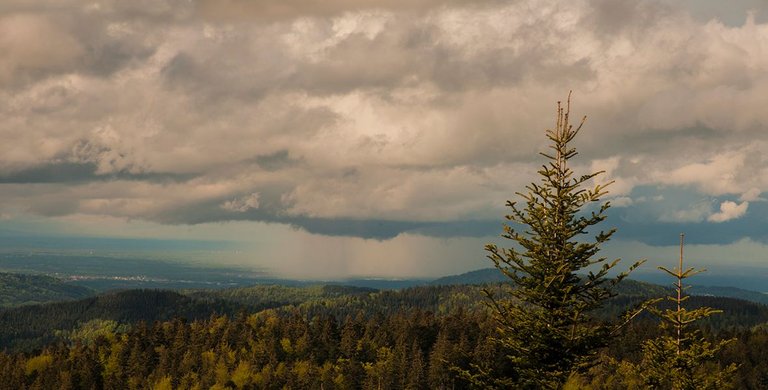 Schwarzwald_Panorama Kopie 2.jpg