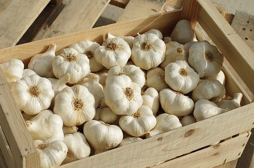 garlic-3208426__340.jpg