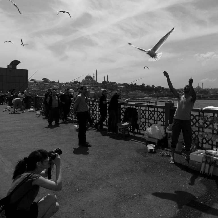 friedenstauben istanbul.jpg