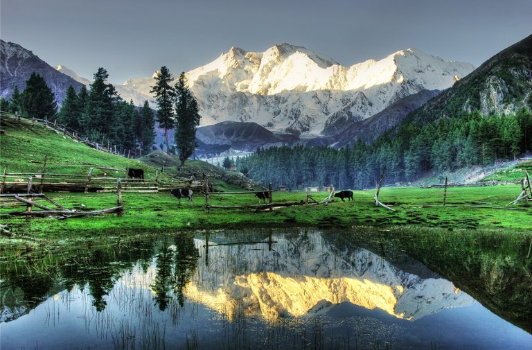 Fairy-Meadows.jpg