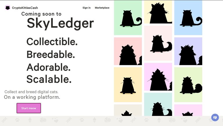 skyledger kitti.jpg