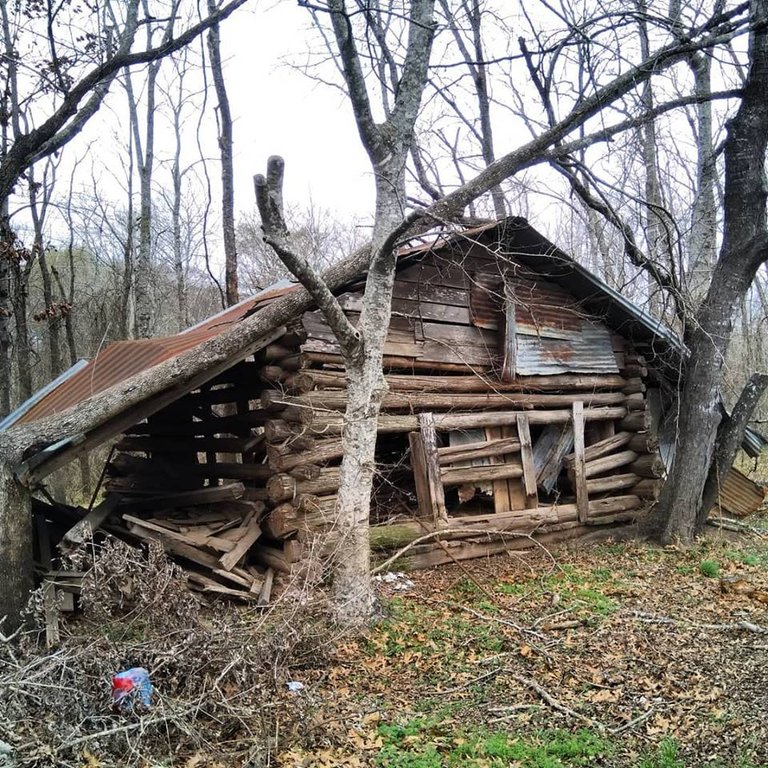 Log Cabin 157 02.jpg