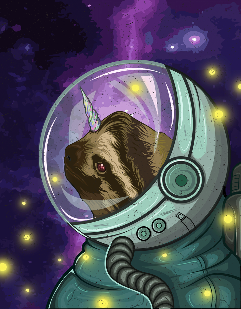 Spacesloth.png