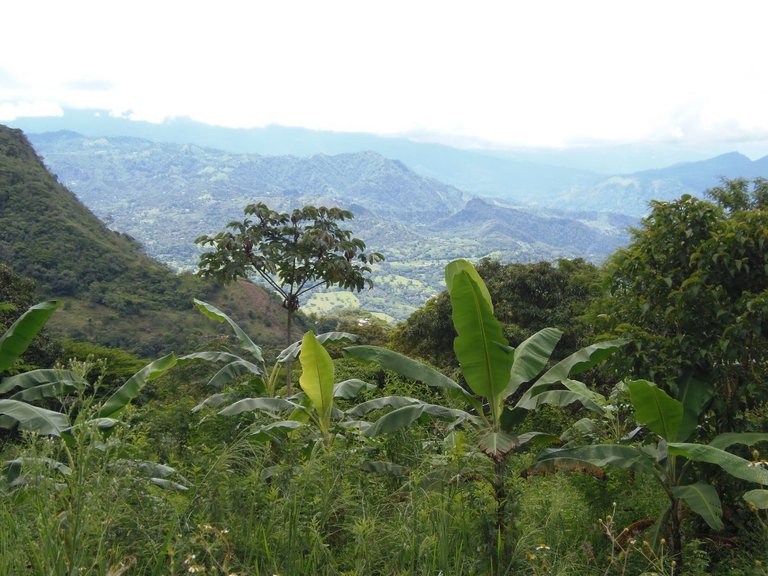 view_over_terraces.JPG