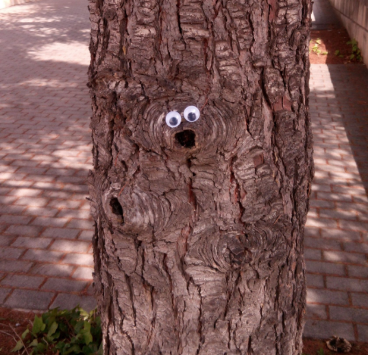 Gerald the Tree