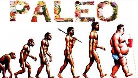 Paleo-evolution.jpg