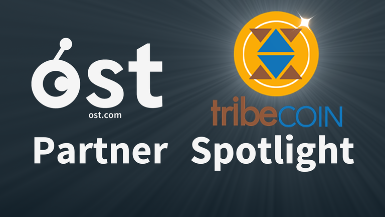 OST Partner Spotlight TribeCoin.png