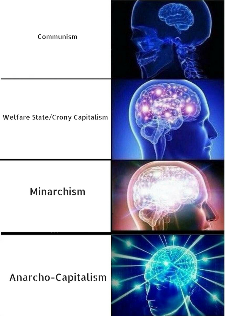 humuanevolutionancap.png