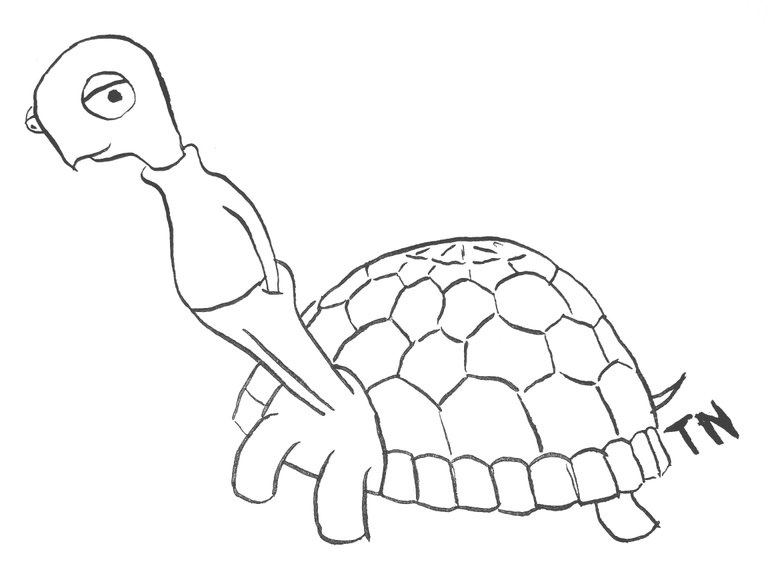 TN Turtle.jpg