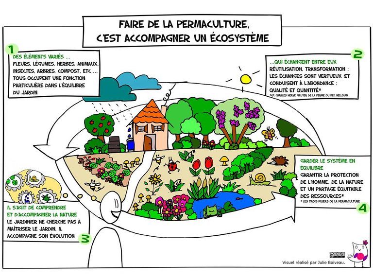 permaculture-light.jpg