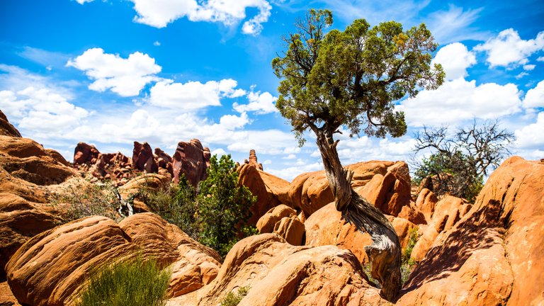 arches_national_park-3840x2160.jpg