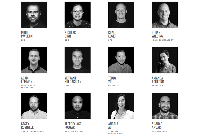 Screenshot-2017-10-2 STK_whitepaper_en pdf(5).png