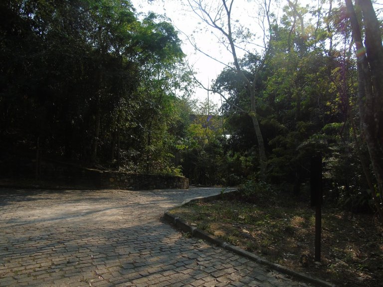 DSC00040.JPG