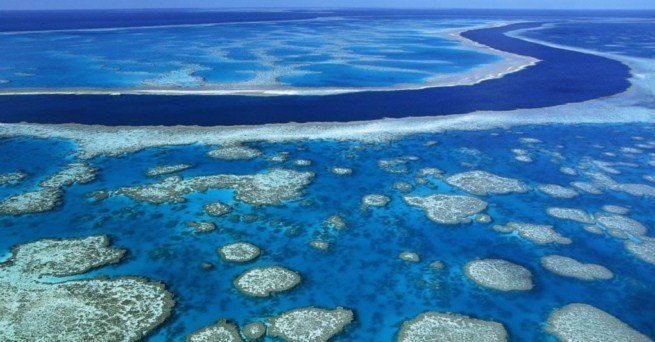 el-arrecife-de-coral-mas-grande-del-mundo1.jpg