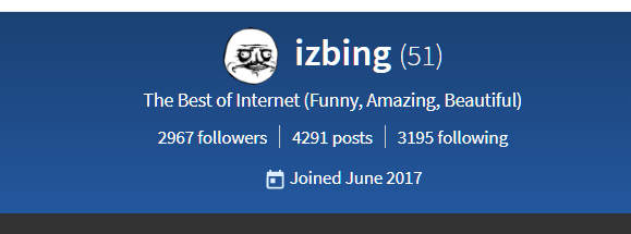 izbing_4.PNG