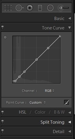 2-tonecurve.jpg