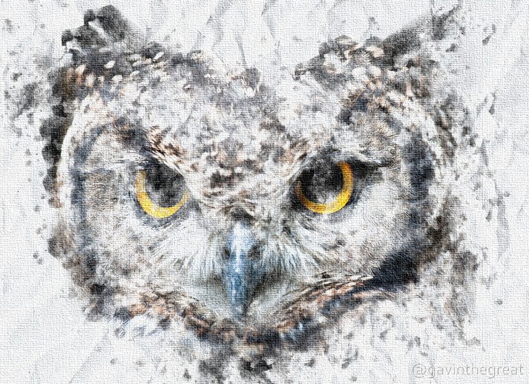 Owl Watercolor.jpg